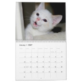 Meer kittens! kalender (Jan 2027)