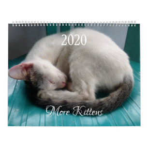 Meer Kittens Muurkalender - HAMbyWG Kalender