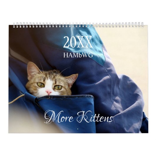 Meer Kittens wandkalender - HAMbyWG Kalender (Hoes)
