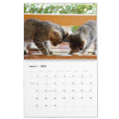 Meer Kittens wandkalender - HAMbyWG Kalender (Mar 2026)