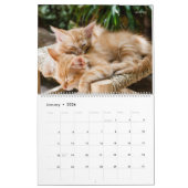 Meer Kittens wandkalender - HAMbyWG Kalender (Jan 2026)