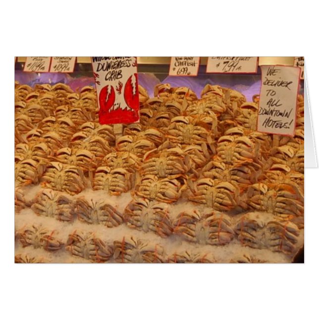 meer krabben (Voorkant Horizontaal)