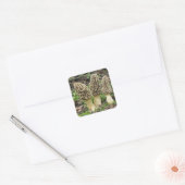 Meer Morels Vierkante Sticker (Envelop)