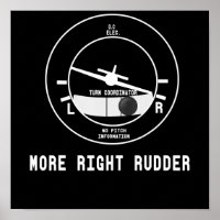 Meer rechtervleugelvlieger Cfi-instructeur Pilot-C