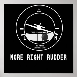 Meer rechtervleugelvlieger Cfi-instructeur Pilot-C Poster