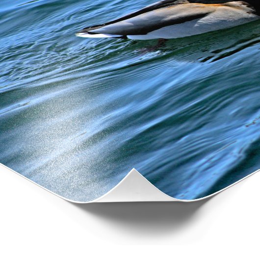 Meer van Arrowiad Foto Afdruk (Hoek)