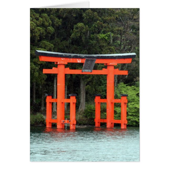 meer van ashi torii (Voorkant)