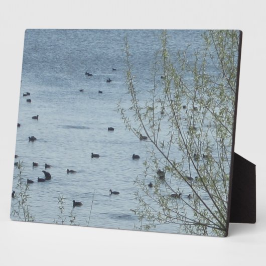 Meer van de vogelpest fotoplaat (Zijkant)