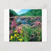 Meer van de Wisconsin de Ice Age Reserve Wisconsin Briefkaart (Voorkant)