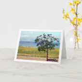 Meer van Galilea, Israëlisch landschap Kaart (Gele Bloem)