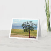 Meer van Galilea, Israëlisch landschap Kaart (Voorkant)