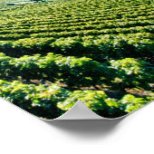 Meer van Genève (Lac Léman) 017 Poster (Hoek)