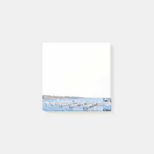 Meer van Genève — Nota's na de bevalling Post-it® Notes