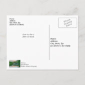 Meer van Springfield Avondrust Dank u Briefkaart (Achterkant)