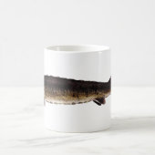 Meer van Sturgeon - Acipenser fulvescens Koffiemok (Center)