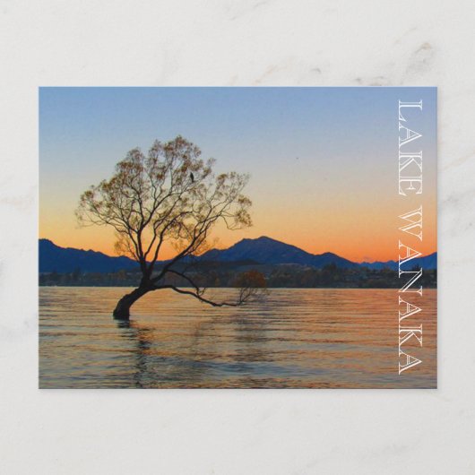 Meer van Wanaka zonsondergang Briefkaart (Voorkant)