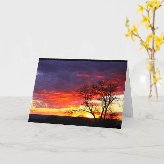 Meer van Winnebago Zonnebakken denken aan jou Kaart (Gele Bloem)