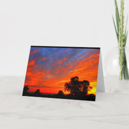 Meer van Winnebago Zonnebakken denken aan jou Kaart