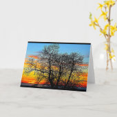 Meer van Winnebago Zonneosie Kaart (Gele Bloem)