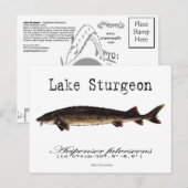 Meer-wit-Briefkaart Briefkaart (Voorkant / Achterkant)