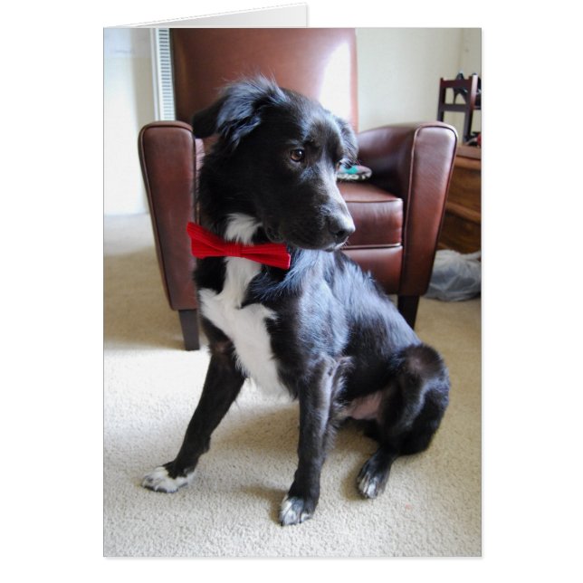 Meer zoekopdracht (Voorkant)