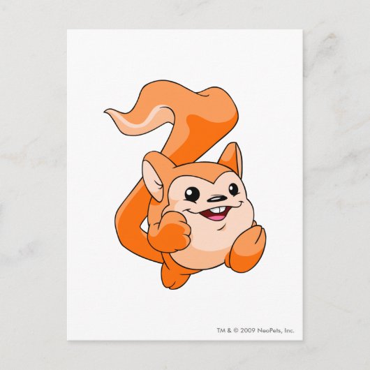 Meerca Sinaasappel Briefkaart (Voorkant)