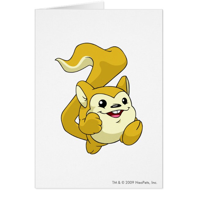 Meerca Yellow (Voorkant)