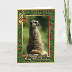 Meercat African Animal Blank Christmas Kaart