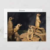 Meercat Briefkaart (Voorkant / Achterkant)