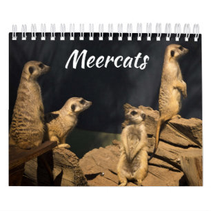 Meercats Calendar Kalender