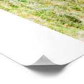 Meercheetah poster (Hoek)