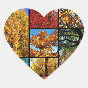 Meerdere foto's van herfstblad hart sticker