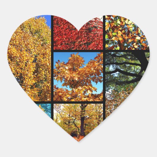 Meerdere foto's van herfstblad hart sticker (Voorkant)