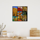 Meerdere foto's van herfstblad poster (Keuken)