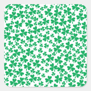 Meerdere Shamrocks Vierkante Sticker
