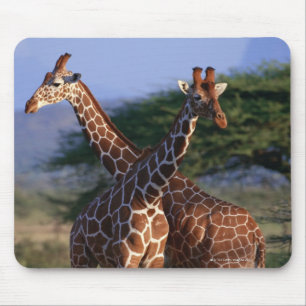 MeerhuisGiraffes Muismat