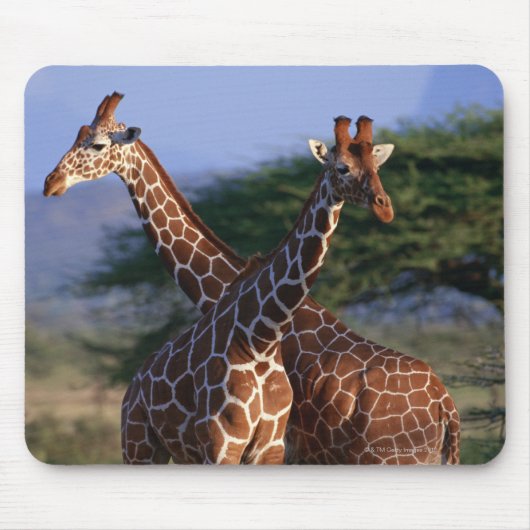 MeerhuisGiraffes Muismat (Voorkant)