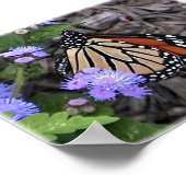 Meerhuismonarch Poster (Hoek)