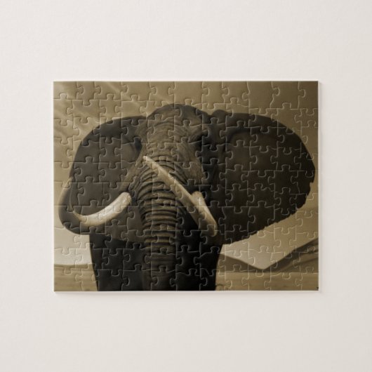 Meerhuisstatus Legpuzzel (Horizontaal)