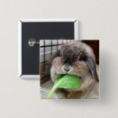 Meerkanaaltje Vierkante Button 5,1 Cm (Voorkant /achterkant)