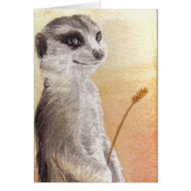 Meerkat (Devant)