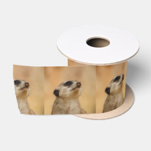 Meerkat20151002 Lint