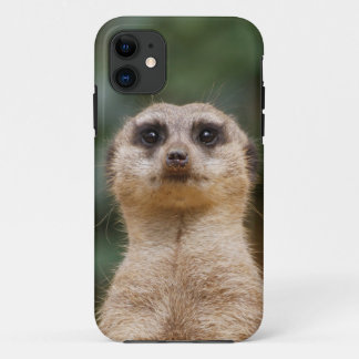 Meerkat 001 iPhone 11 hoesje