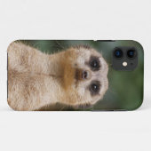 Meerkat 001 Case-Mate iPhone case (Achterkant (horizontaal))