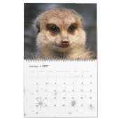 Meerkat 001 kalender (Jan 2027)