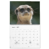 Meerkat 001 kalender (Mar 2027)
