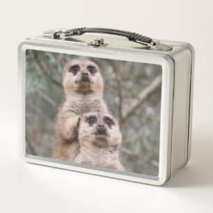 Meerkat_002_by_JAMFoto