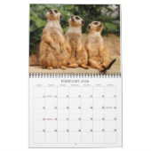 Meerkat 002 kalender (Feb 2026)