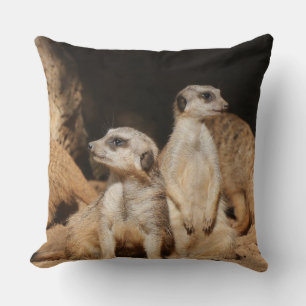 Meerkat 003 kussen
