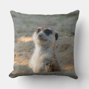 Meerkat 004 kussen